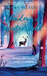 Shadows of Winterspell - Amy Wilson - 9781529018967