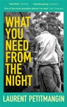 What You Need From The Night - Laurent Petitmangin - 9781529063523