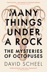 Many Things Under a Rock - David Scheel - 9781529392616