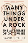 Many Things Under a Rock - David Scheel - 9781529392623