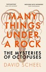 Many Things Under a Rock - David Scheel - 9781529392647