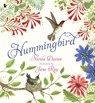 Hummingbird - Nicola Davies - 9781529523874