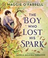 The Boy Who Lost His Spark - Maggie O'Farrell - 9781529529784