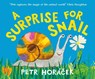 A Surprise for Snail - Petr Horacek - 9781529531831