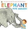 Elephant - Petr Horacek - 9781529538854