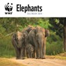 WWF Elephants Square Wall Calendar 2024 -  - 9781529833225
