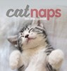 Cat Naps Easel Desk Calendar 2024 -  - 9781529837339