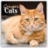 Ginger Cats (PFP) W -  - 9781529858341