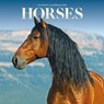 Horses Square Mini Sunday Start Calendar -  - 9781529897135