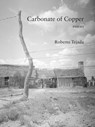Carbonate of Copper - Roberto Tejada - 9781531509705