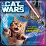 Cat Wars -  - 9781531961718