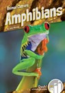 Amphibians - Julie Murray - 9781532122958