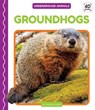 Groundhogs - LONDON,  Martha - 9781532167621