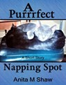 A Purrrfect Napping Spot - Anita M. Shaw - 9781533789297