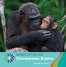 Chimpanzee Babies - GRAY,  Susan H. - 9781534161207
