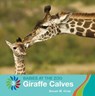 Giraffe Calves - GRAY,  Susan H. - 9781534161221