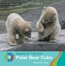 Polar Bear Cubs - GRAY,  Susan H. - 9781534161269