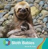 Sloth Babies - GRAY,  Susan H. - 9781534161276