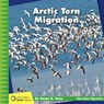Arctic Tern Migration - Susan H. Gray - 9781534170254