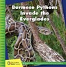 Burmese Pythons Invade the Everglades - Susan H. Gray - 9781534188426