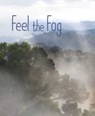 Feel the Fog - April Pulley Sayre - 9781534437616