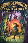 The Secrets of the Stormforest - L D Lapinski - 9781534483576