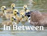 In Between - April Pulley Sayre - 9781534487826
