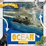 Ocean Food Webs - William Anthony - 9781534535282