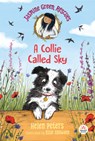 Jasmine Green Rescues: A Collie Called Sky - Helen Peters - 9781536215717