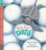 One Tiny Turtle: Read and Wonder - Nicola Davies - 9781536235371