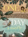 One Day a Mayfly - Shirley Marr - 9781536243611
