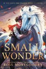 Small Wonder - Ross Montgomery - 9781536252460