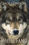 White Fang - Jack London - 9781536964035