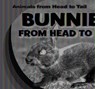 Bunnies from Head to Tail - Emmett Martin - 9781538255308