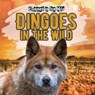 Dingoes in the Wild - Natalie Humphrey - 9781538279618