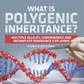 Baby: What is Polygenic Inheritance? Multiple Alleles, Codom - Baby - 9781541991040