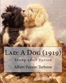 Lad: A Dog (1919). By: Albert Payson Terhune: Young adult fiction - Albert Payson Terhune - 9781544809915