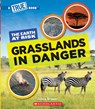 Grasslands in Danger (a True Book: The Earth at Risk) - Felicia Brower - 9781546102076