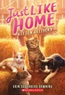 Kitten Delivery (Just Like Home, Book Two) - Erin Soderberg Downing - 9781546124948