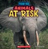 Animals at Risk (Wild World: Top 10) - Brenna Maloney - 9781546177517