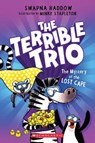 The Mystery of the Lost Cape (the Terrible Trio #3) - Swapna Haddow - 9781546183068