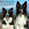 Border Collies 2026 Wall Calendar -  - 9781549250323