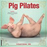 Pig Pilates 2026 Wall Calendar -  - 9781549252389