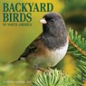 Backyard Birds 2026 7 X 7 Mini Wall Calendar - Willow Creek Press - 9781549253447