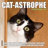 Cat-Astrophe 2026 7 X 7 Mini Wall Calendar - Willow Creek Press - 9781549253492