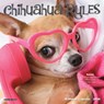 Chihuahua Rules 2026 Mini Wall Calendar -  - 9781549253508