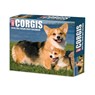 Corgis 2026 Box Calendar -  - 9781549254079