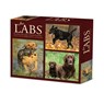 Just Labs 2026 Box Calendar -  - 9781549254277