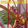 Roller Coasters 2026 Wall Calendar -  - 9781549255533