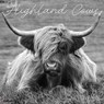 Highland Cows (B&w) 2026 Wall Calendar -  - 9781549255847